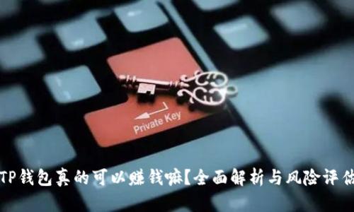 TP钱包真的可以赚钱嘛？全面解析与风险评估